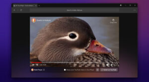 DuckDuckGo web browser Windows public beta